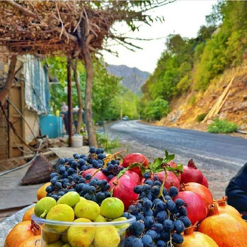  گل توی گلدون باز دوباره داره میمیره راه نفس رو بغض دیدار